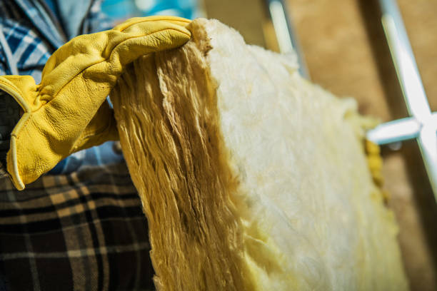 Best Energy-efficient Insulation  in Preston Heights, IL