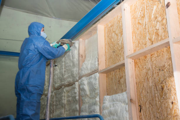 Best Insulation Removal  in Preston Heights, IL